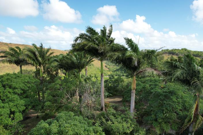 Image No.6-2 Bed Cottage for sale