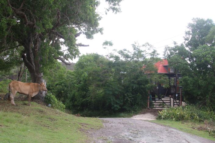 Image No.2-2 Bed Cottage for sale