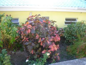 Image No.19-Villa de 5 chambres à vendre à English Harbour Town