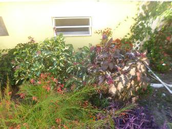 Image No.20-Villa de 5 chambres à vendre à English Harbour Town