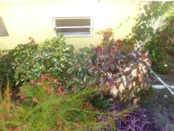 garden-2