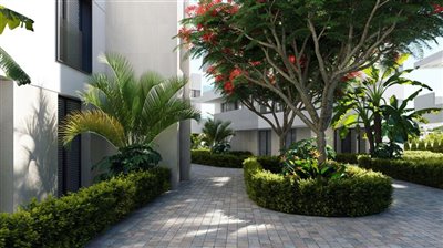 1751-apartment-for-sale-in-santa-rosalia-reso
