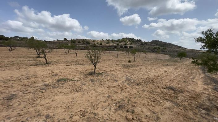 Image No.21-3 Bed Country House for sale