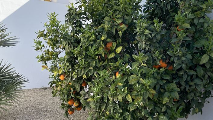 Image No.27-Villa de 3 chambres à vendre à Mar De Cristal