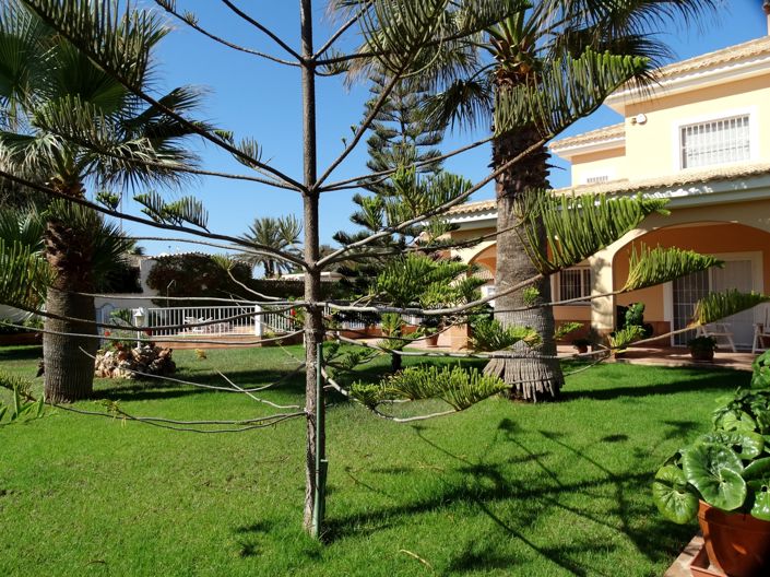 Image No.5-7 Bed Villa for sale