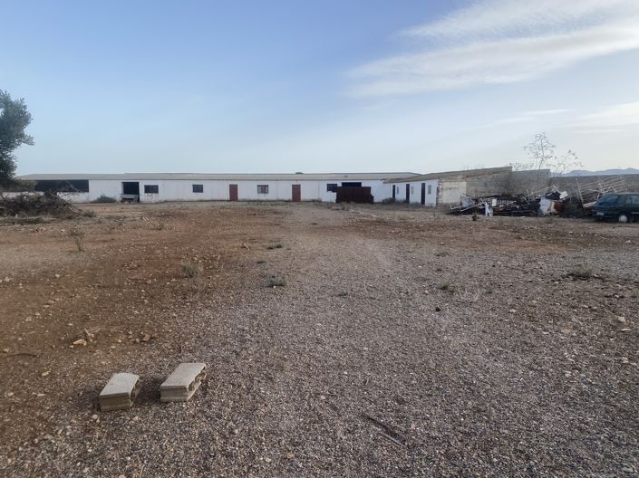 Image No.35-8 Bed Country House for sale