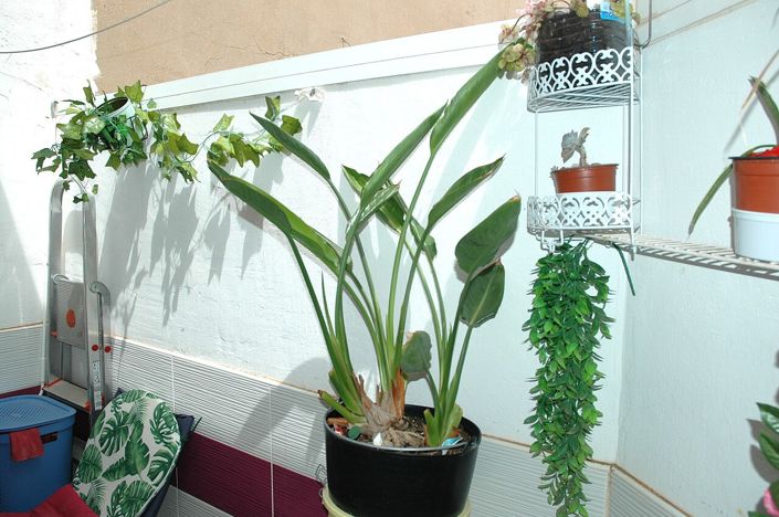 Image No.23-2 Bed Apartment for sale