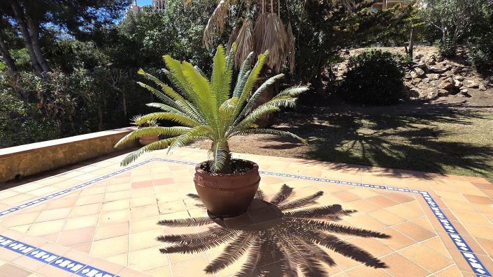 Image No.29-4 Bed Villa / Detached for sale