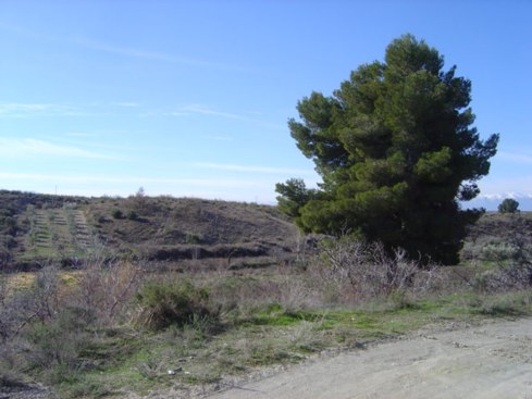 Image No.3-4 Bed House for sale