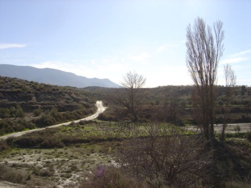 Image No.4-4 Bed House for sale