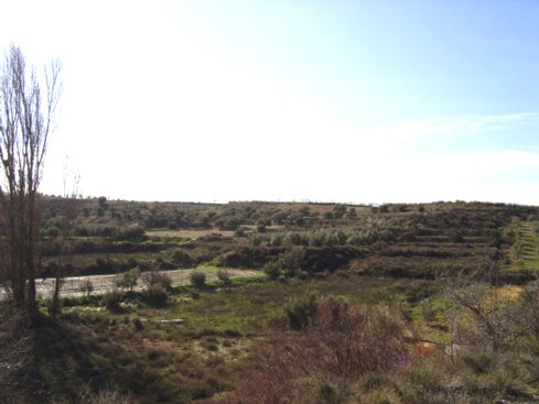 Image No.8-4 Bed House for sale