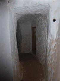 v1805259