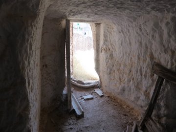 v1805263
