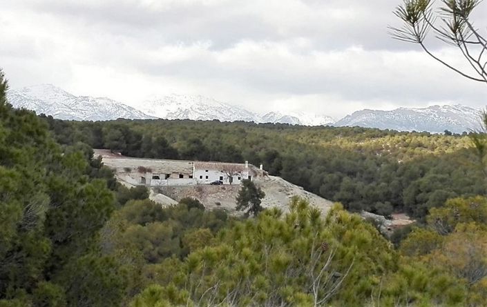 Image No.2-8 Bed Cortijo for sale
