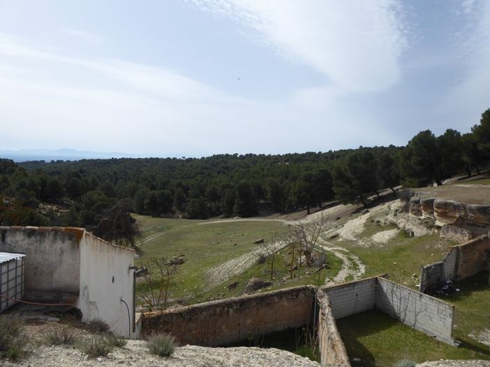 Image No.13-Cortijo de 8 chambres à vendre à Benamaurel