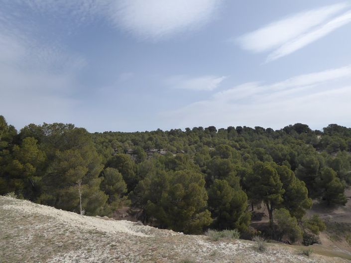 Image No.15-8 Bed Cortijo for sale