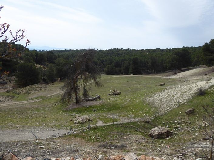 Image No.18-8 Bed Cortijo for sale