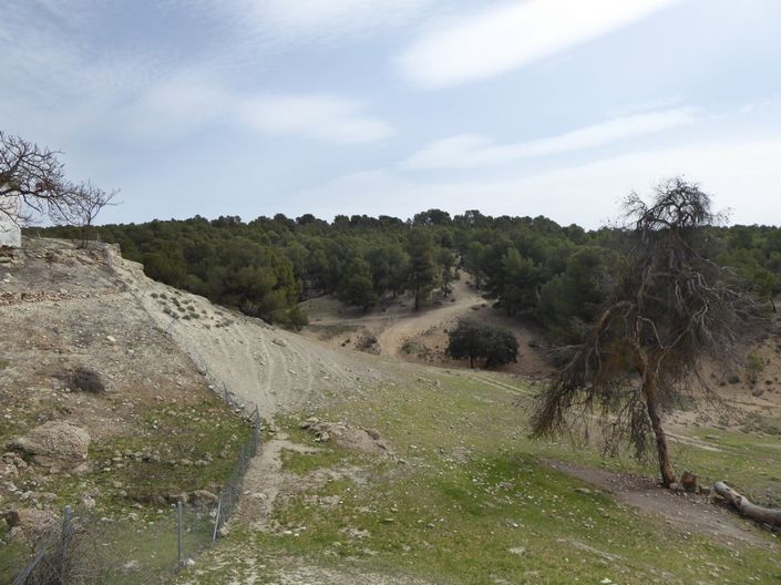 Image No.19-8 Bed Cortijo for sale