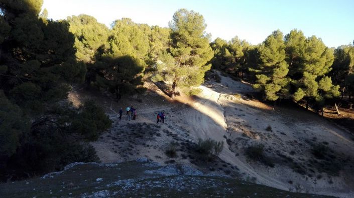 Image No.22-8 Bed Cortijo for sale