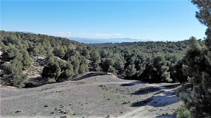 Image No.4-8 Bed Cortijo for sale