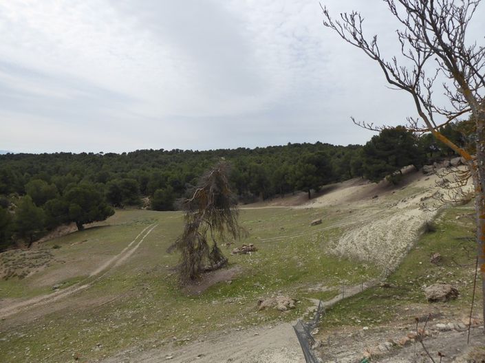 Image No.45-8 Bed Cortijo for sale