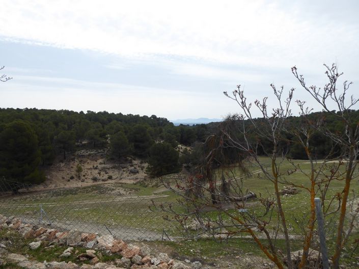 Image No.49-8 Bed Cortijo for sale