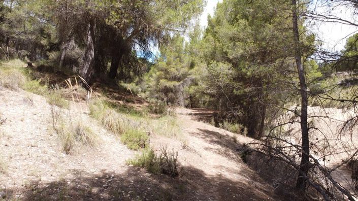 Image No.6-8 Bed Cortijo for sale