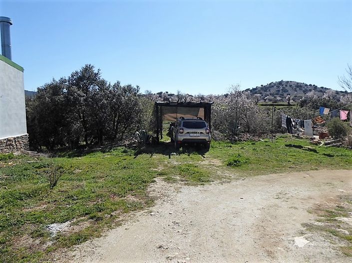 Image No.3-4 Bed Cortijo for sale