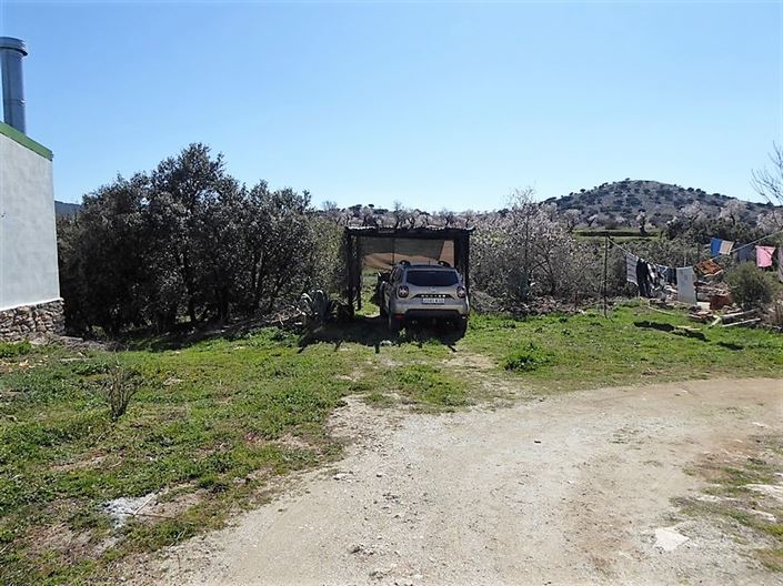 Image No.3-4 Bed Cortijo for sale