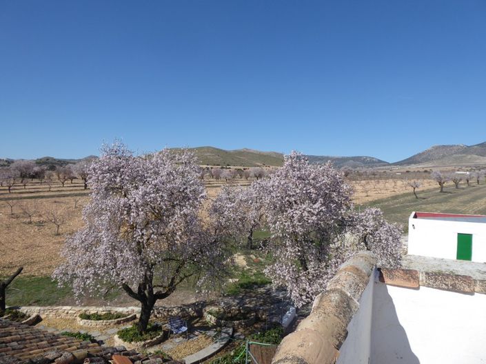 Image No.37-4 Bed Cortijo for sale