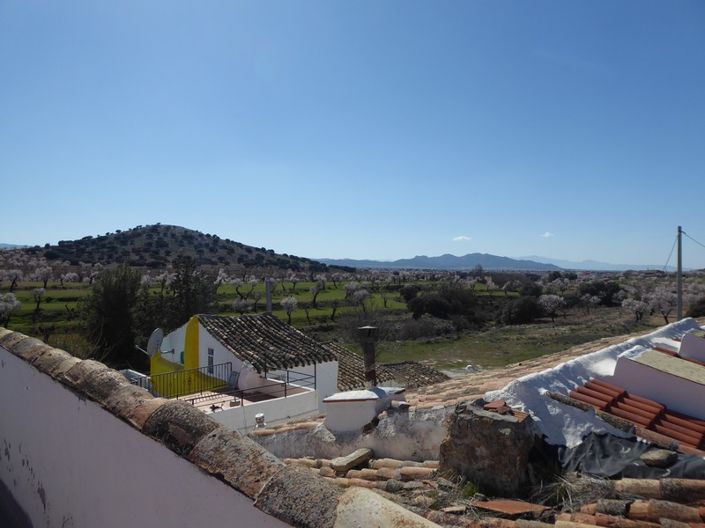 Image No.42-4 Bed Cortijo for sale