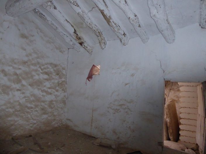 Image No.48-4 Bed Cortijo for sale