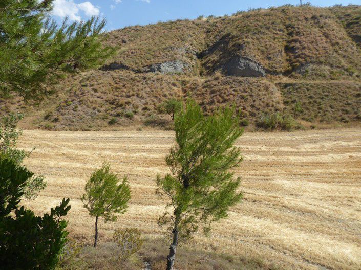 Image No.20-3 Bed Property for sale