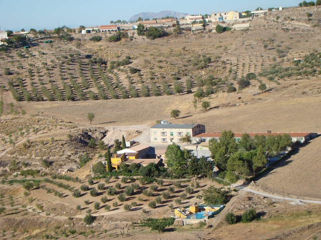 Image No.3-6 Bed Cortijo for sale