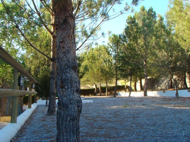 Image No.32-6 Bed Cortijo for sale