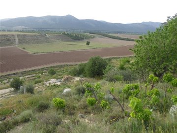 v2726245