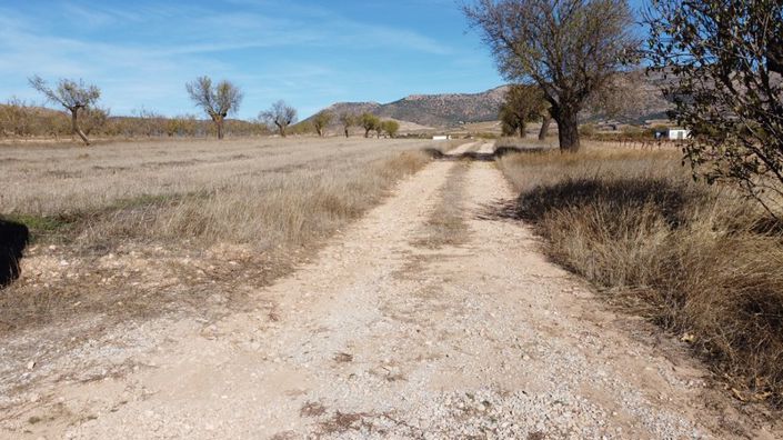 Image No.31-3 Bed Cortijo for sale
