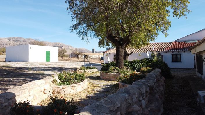 Image No.5-3 Bed Cortijo for sale