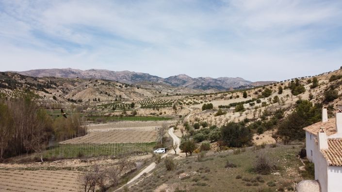 Image No.5-Cortijo de 9 chambres à vendre à Castril