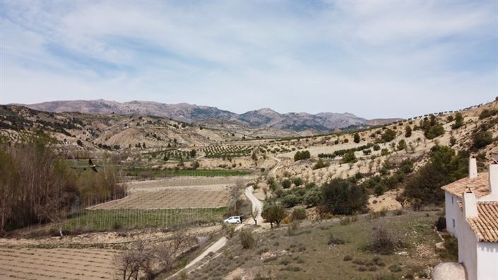Image No.5-Cortijo de 9 chambres à vendre à Castril