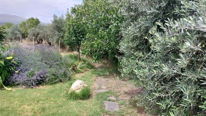 Image No.12-3 Bed Cortijo for sale