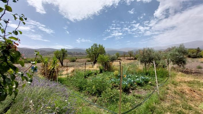 Image No.13-3 Bed Cortijo for sale