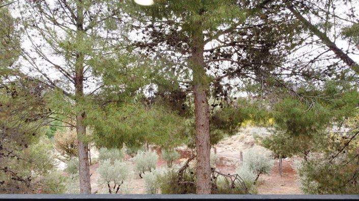 Image No.5-Propriété de 4 chambres à vendre à Benamaurel