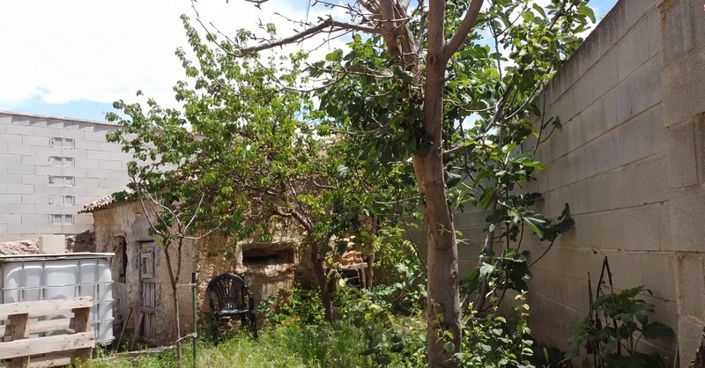 Image No.45-5 Bed Cortijo for sale