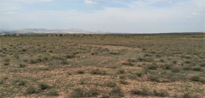 Image No.29-3 Bed Cortijo for sale