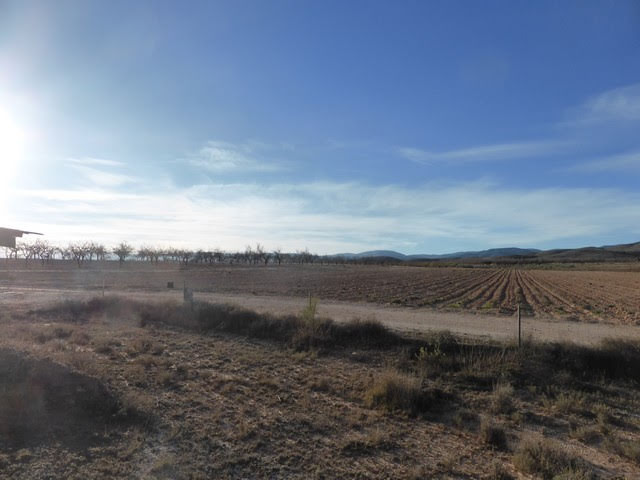 Image No.36-3 Bed Cortijo for sale