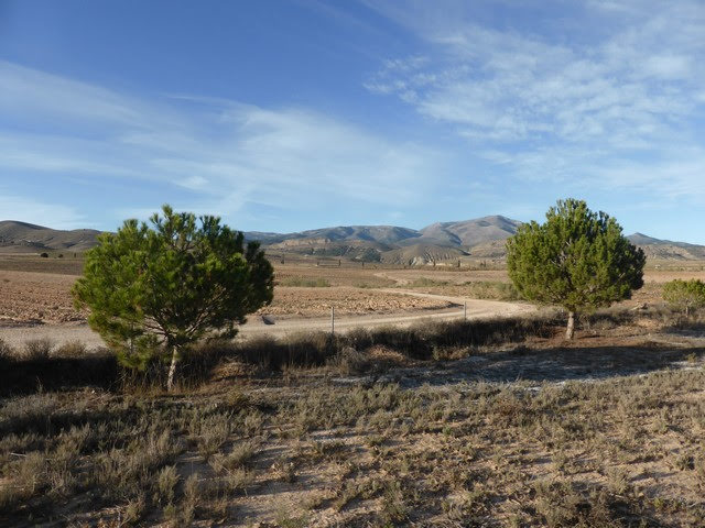 Image No.38-3 Bed Cortijo for sale