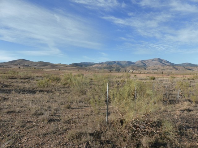 Image No.48-3 Bed Cortijo for sale