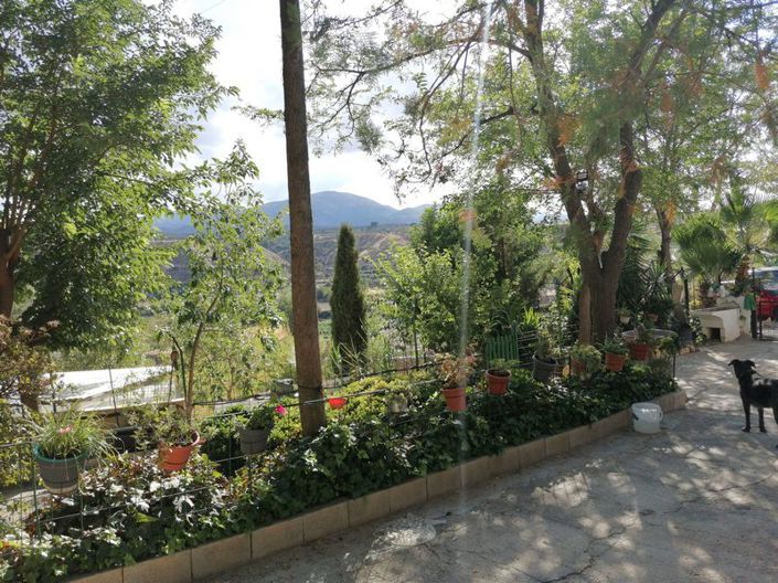 Image No.3-4 Bed House for sale