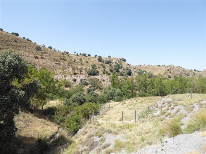 Image No.12-6 Bed Cortijo for sale